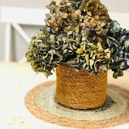 - Peregrina Family *