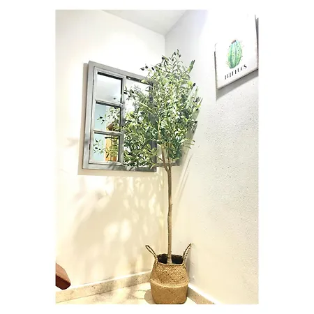 - Peregrina Family דירה